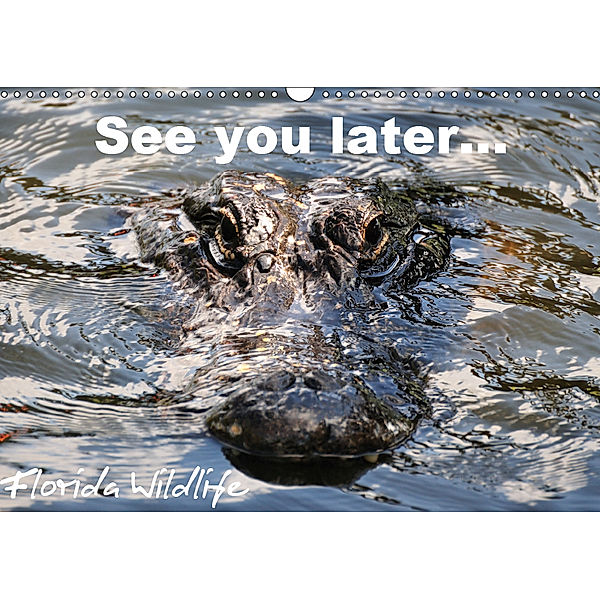 See you later ... Florida Wildlife (Wandkalender 2019 DIN A3 quer), Uwe Bade