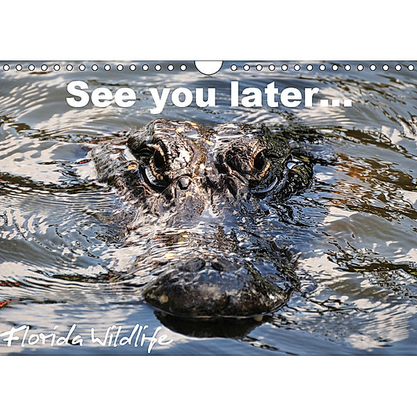 See you later ... Florida Wildlife (Wandkalender 2019 DIN A4 quer), Uwe Bade
