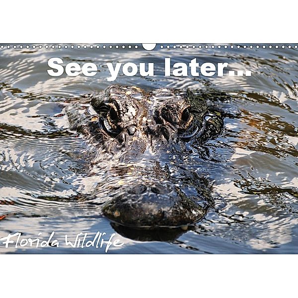 See you later ... Florida Wildlife (Wandkalender 2020 DIN A3 quer), Uwe Bade