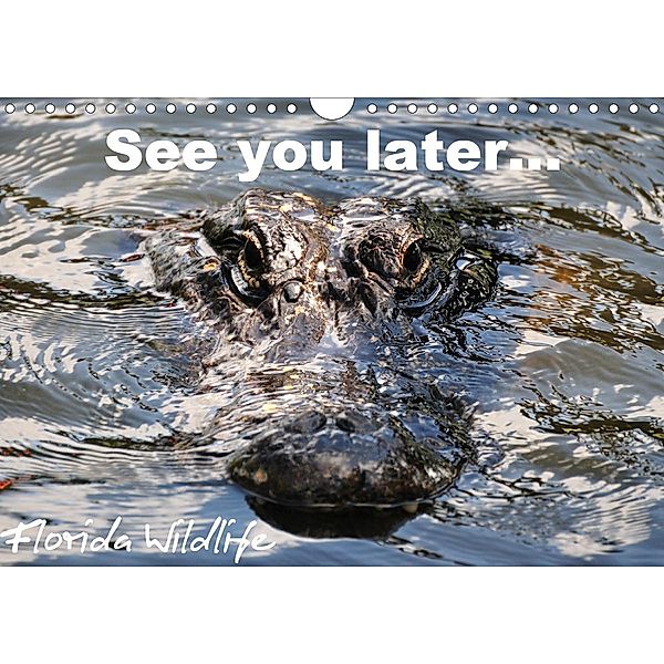 See you later ... Florida Wildlife (Wandkalender 2021 DIN A4 quer), Uwe Bade