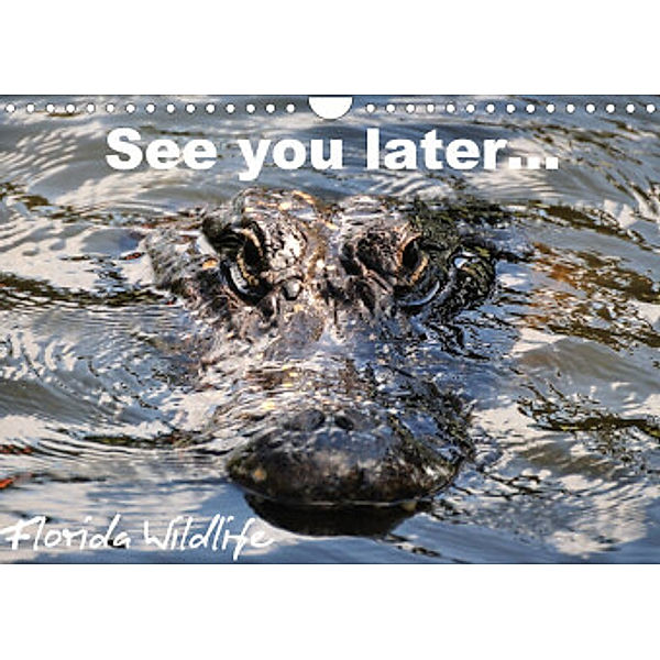 See you later ... Florida Wildlife (Wandkalender 2022 DIN A4 quer), Uwe Bade