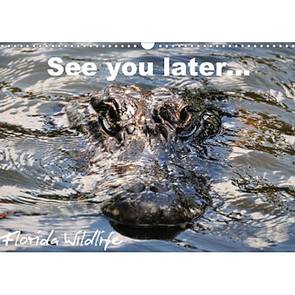 See you later ... Florida Wildlife (Wandkalender 2022 DIN A3 quer), Uwe Bade