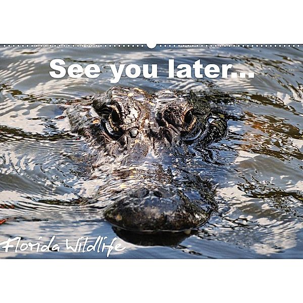 See you later ... Florida Wildlife (Wandkalender 2023 DIN A2 quer), Uwe Bade
