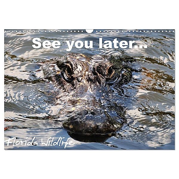 See you later ... Florida Wildlife (Wandkalender 2024 DIN A3 quer), CALVENDO Monatskalender, Uwe Bade