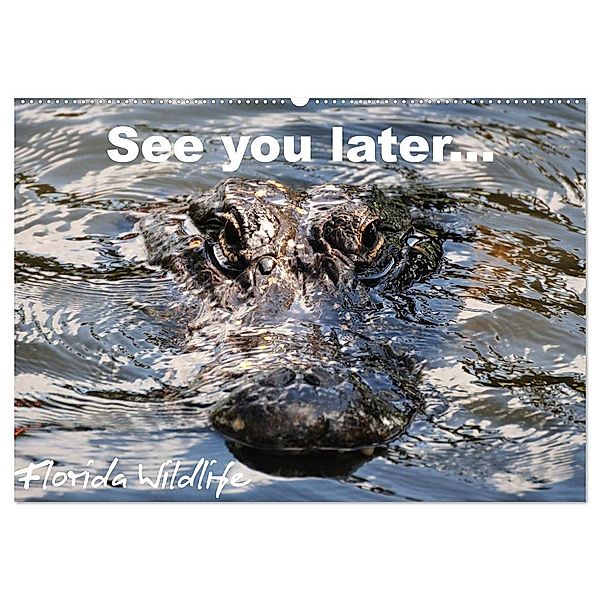 See you later ... Florida Wildlife (Wandkalender 2024 DIN A2 quer), CALVENDO Monatskalender, Uwe Bade