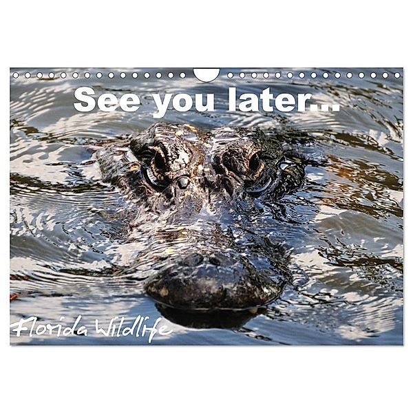 See you later ... Florida Wildlife (Wandkalender 2025 DIN A4 quer), CALVENDO Monatskalender, Calvendo, Uwe Bade