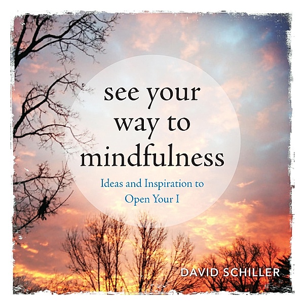 See Your Way to Mindfulness, David Schiller