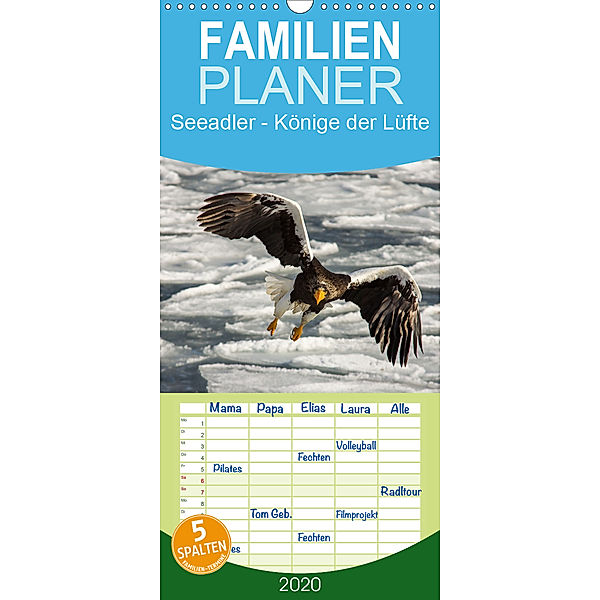 Seeadler - Könige der Lüfte - Familienplaner hoch (Wandkalender 2020 , 21 cm x 45 cm, hoch), Thomas Schwarz