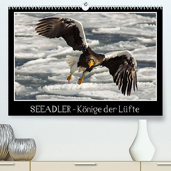 Seeadler - Könige der Lüfte (Premium, hochwertiger DIN A2 Wandkalender 2023, Kunstdruck in Hochglanz), Thomas Schwarz Fotografie