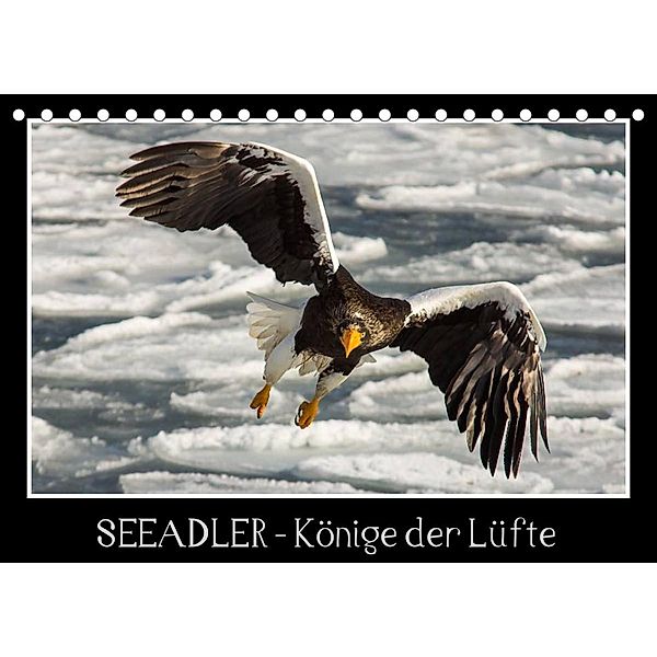 Seeadler - Könige der Lüfte (Tischkalender 2023 DIN A5 quer), Thomas Schwarz Fotografie