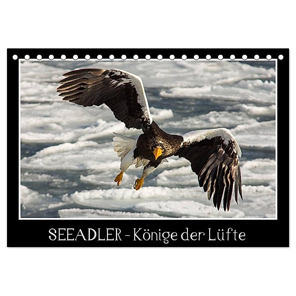 Seeadler - Könige der Lüfte (Tischkalender 2024 DIN A5 quer), CALVENDO Monatskalender, Thomas Schwarz Fotografie