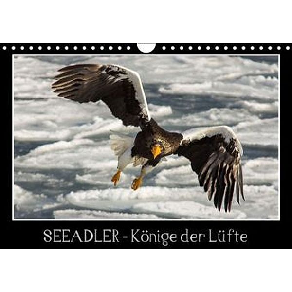 Seeadler - Könige der Lüfte (Wandkalender 2015 DIN A4 quer), Thomas                        10000219418 Schwarz