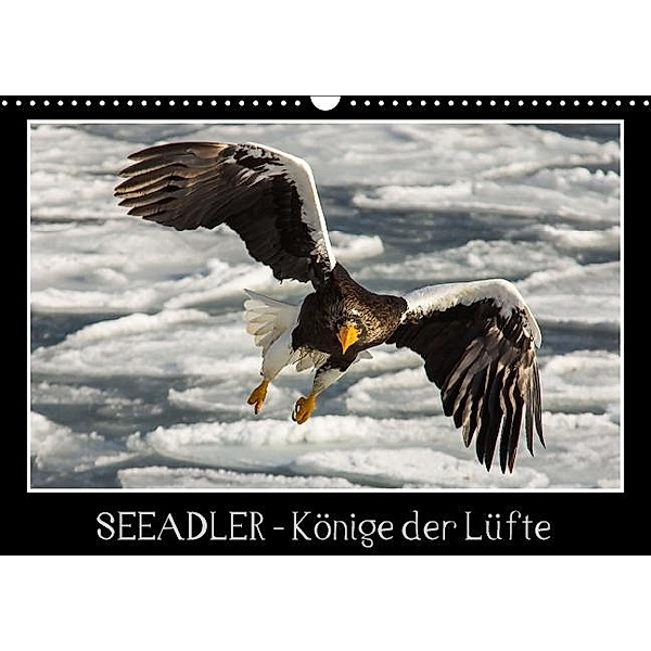Seeadler - Könige der Lüfte (Wandkalender 2016 DIN A3 quer), Thomas                        10000219418 Schwarz
