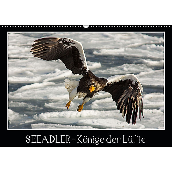 Seeadler - Könige der Lüfte (Wandkalender 2020 DIN A2 quer), Thomas Schwarz