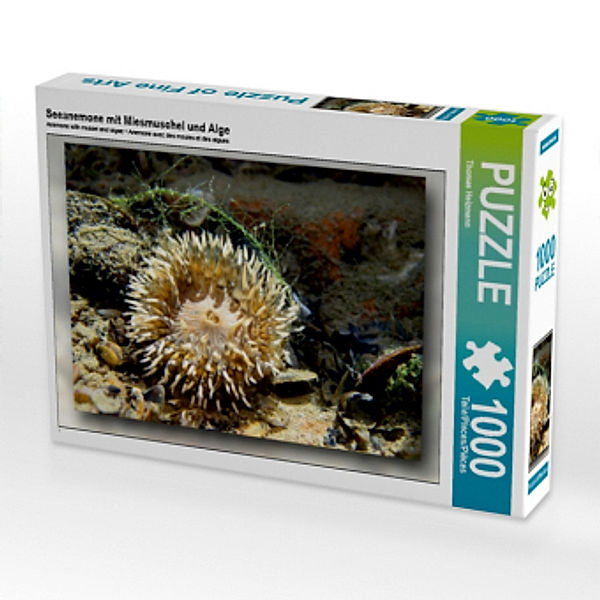 Seeanemone mit Miesmuschel und Alge (Puzzle), Thomas Heizmann