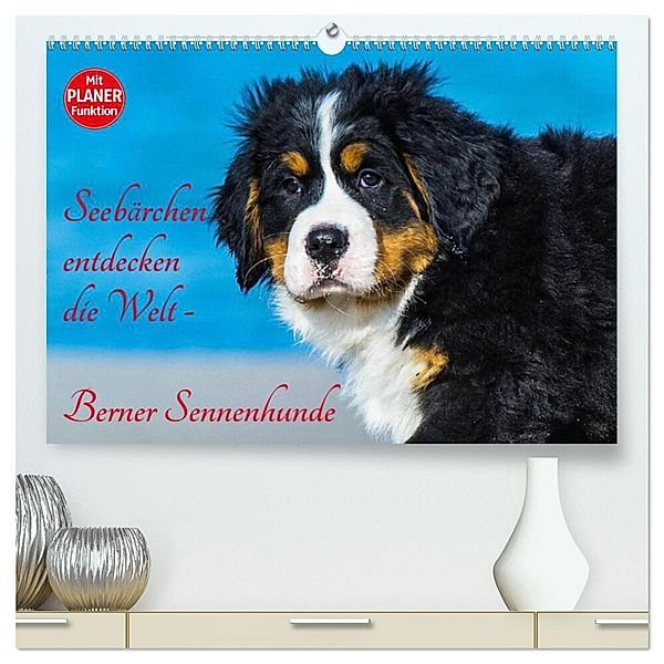 Seebärchen entdecken die Welt - Berner Sennenhunde (hochwertiger Premium Wandkalender 2024 DIN A2 quer), Kunstdruck in Hochglanz, Sigrid Starick