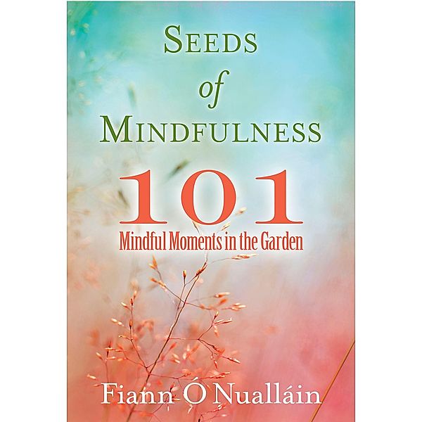 Seeds of Mindfulness, Fiann O'Nuallain