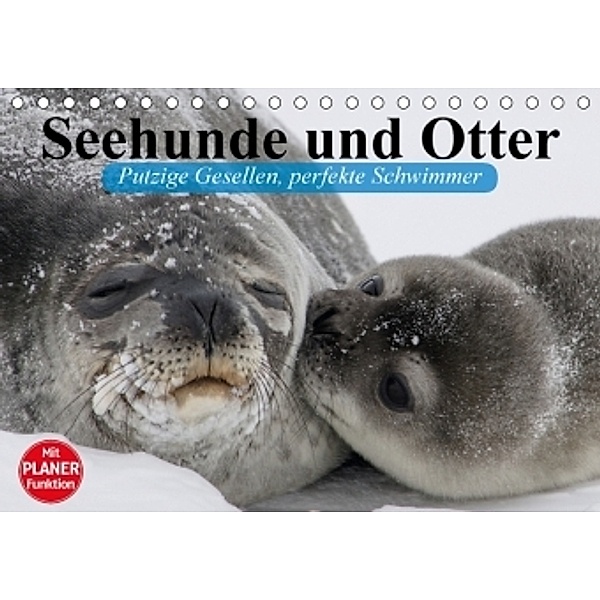 Seehunde und Otter. Putzige Gesellen, perfekte Schwimmer (Tischkalender 2017 DIN A5 quer), Elisabeth Stanzer