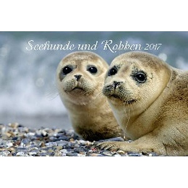 Seehunde und Robben 2017