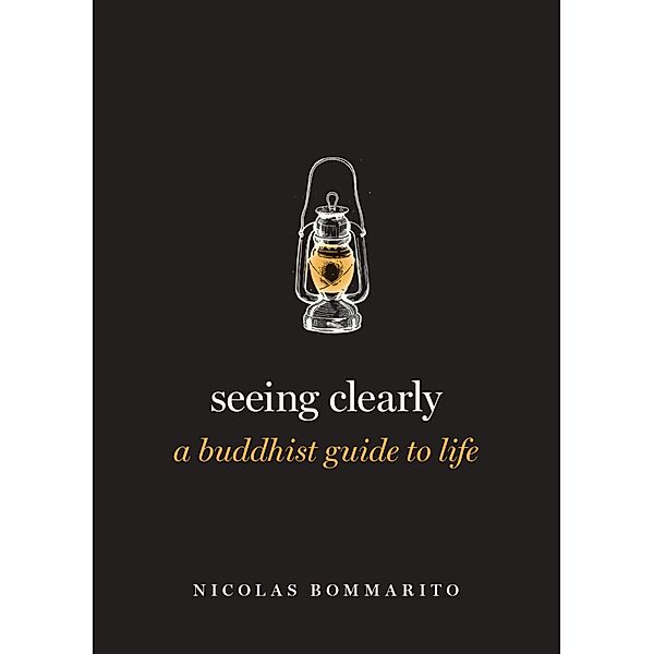 Seeing Clearly, Nicolas Bommarito