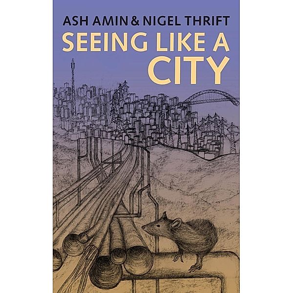 Seeing Like a City, Ash Amin, Nigel Thrift