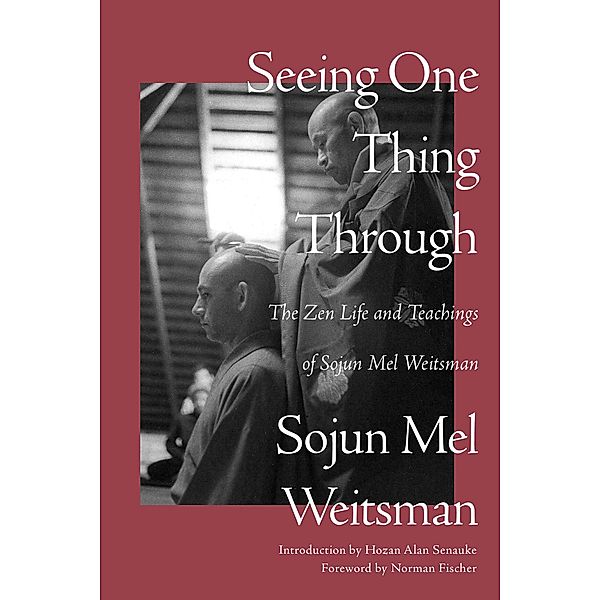 Seeing One Thing Through, Mel Weitsman