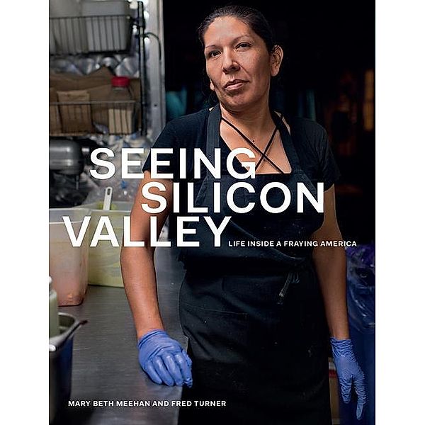 Seeing Silicon Valley, Mary Beth Meehan, Fred Turner