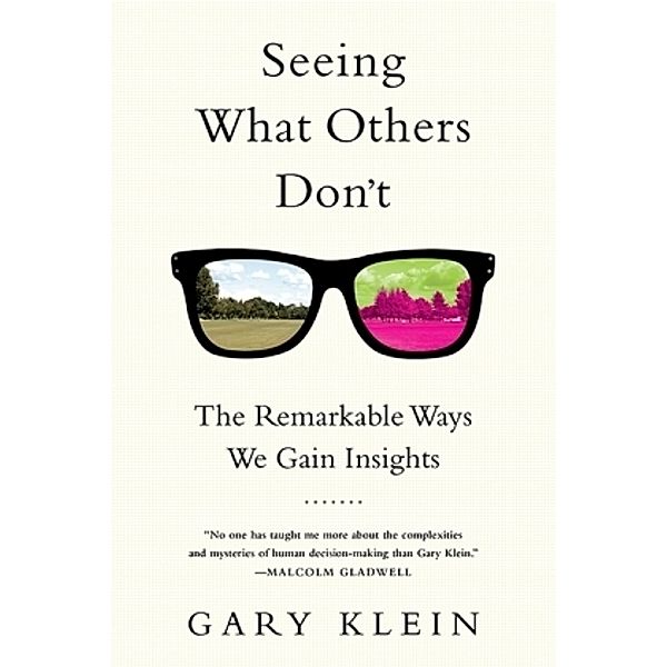 Seeing What Others Don't, Gary Klein