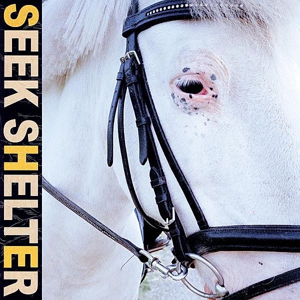Seek Shelter (Vinyl), Iceage