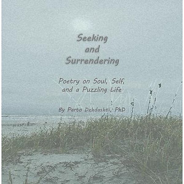 Seeking and Surrendering, Parto Dehdashti