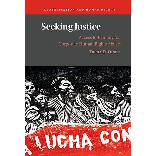Seeking Justice, Tricia D. Olsen