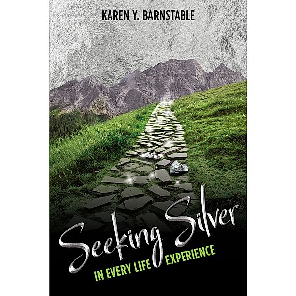Seeking Silver:, Karen Y Barnstable