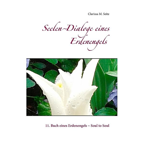 Seelen-Dialoge eines Erdenengels, Clarissa M. Seite