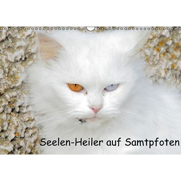 Seelen-Heiler auf Samtpfoten (Wandkalender 2015 DIN A3 quer), Manfred Spengler
