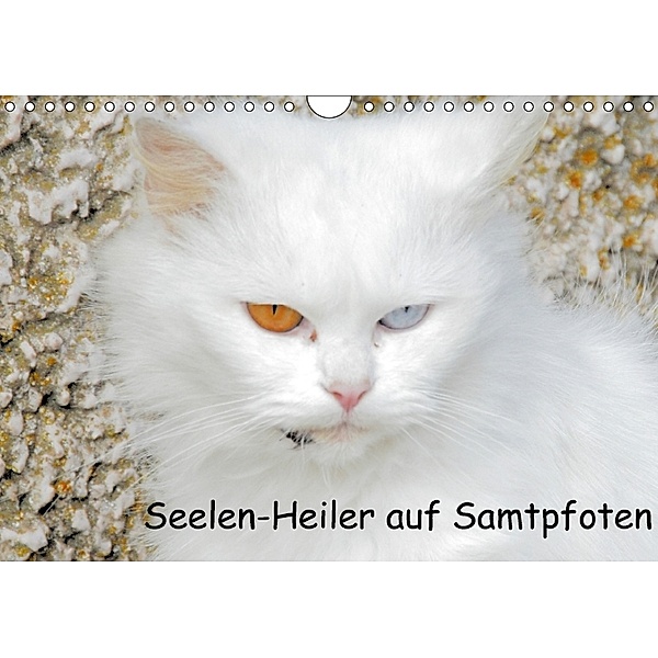 Seelen-Heiler auf Samtpfoten (Wandkalender 2018 DIN A4 quer), Manfred Spengler