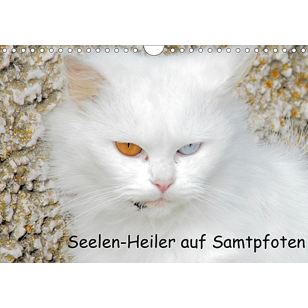 Seelen-Heiler auf Samtpfoten (Wandkalender 2021 DIN A4 quer), Manfred Spengler