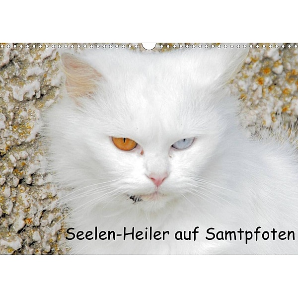 Seelen-Heiler auf Samtpfoten (Wandkalender 2023 DIN A3 quer), Manfred Spengler