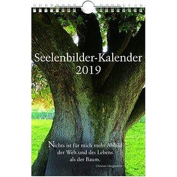 Seelenbilder-Kalender 2019, Markus Schirner