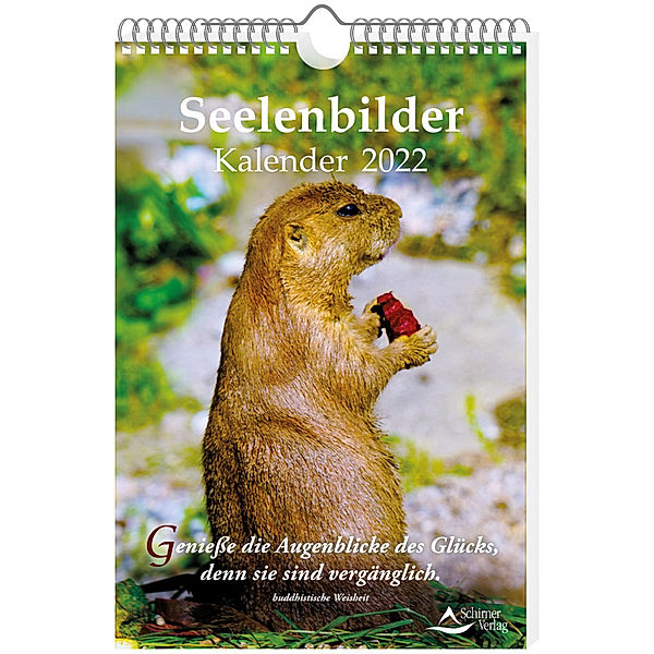 Seelenbilder-Kalender 2022, Markus Schirner