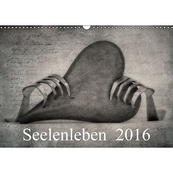 Seelenleben 2016 (Wandkalender 2016 DIN A3 quer), Hernegger Arnold Joseph
