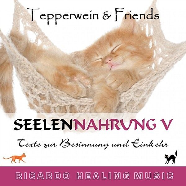 Seelennahrung 5: Texte zur Besinnung und Einkehr (Tepperwein and Friends)