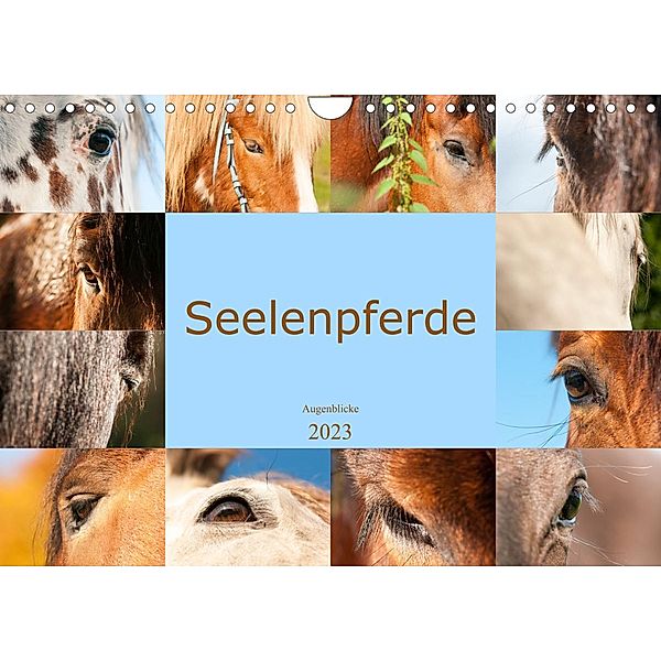 Seelenpferde - Augenblicke (Wandkalender 2023 DIN A4 quer), Meike Bölts
