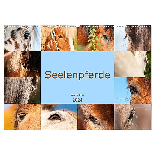Seelenpferde - Augenblicke (Wandkalender 2024 DIN A2 quer), CALVENDO Monatskalender, Meike Bölts