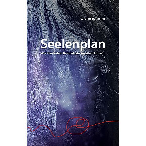 Seelenplan, Caroline Raimondi