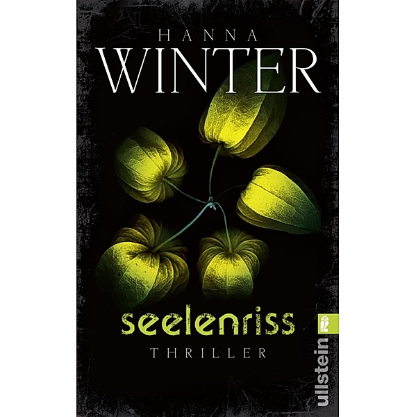 Seelenriss / Kriminalpsychologin Lena Peters Bd.2, Hanna Winter
