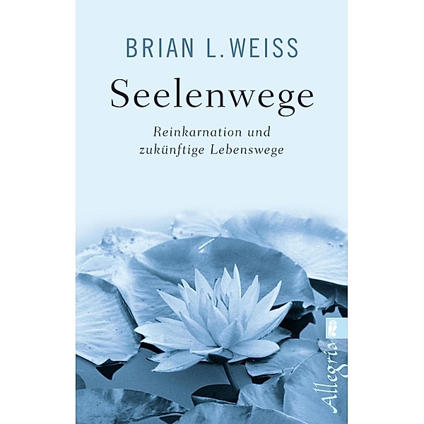 Seelenwege / Ullstein-Bücher, Allgemeine Reihe, Brian L. Weiss