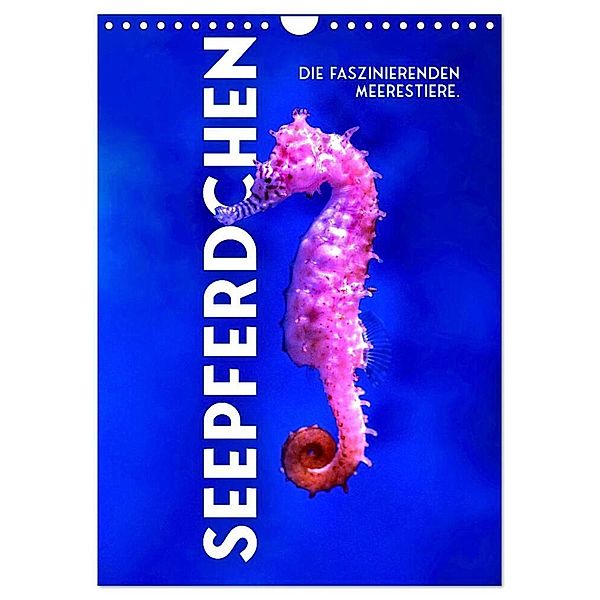 Seepferdchen - Die faszinierende Meerestiere. (Wandkalender 2024 DIN A4 hoch), CALVENDO Monatskalender, SF