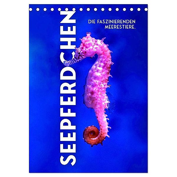 Seepferdchen - Die faszinierende Meerestiere. (Tischkalender 2024 DIN A5 hoch), CALVENDO Monatskalender, SF