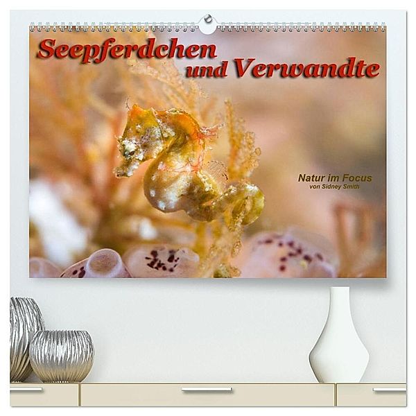 Seepferdchen und Verwandte (hochwertiger Premium Wandkalender 2024 DIN A2 quer), Kunstdruck in Hochglanz, Sidney Smith