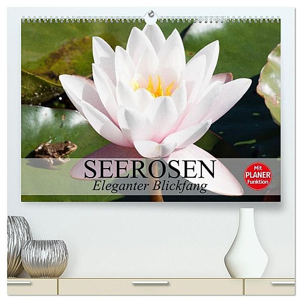 Seerosen. Eleganter Blickfang (hochwertiger Premium Wandkalender 2024 DIN A2 quer), Kunstdruck in Hochglanz, Elisabeth Stanzer